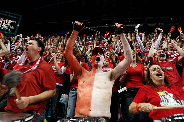 冠淘汰赛提 冠淘汰赛提